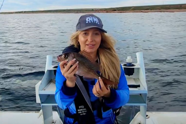 Thumbnail for One Nation MP fishes for snapper amid strict ban