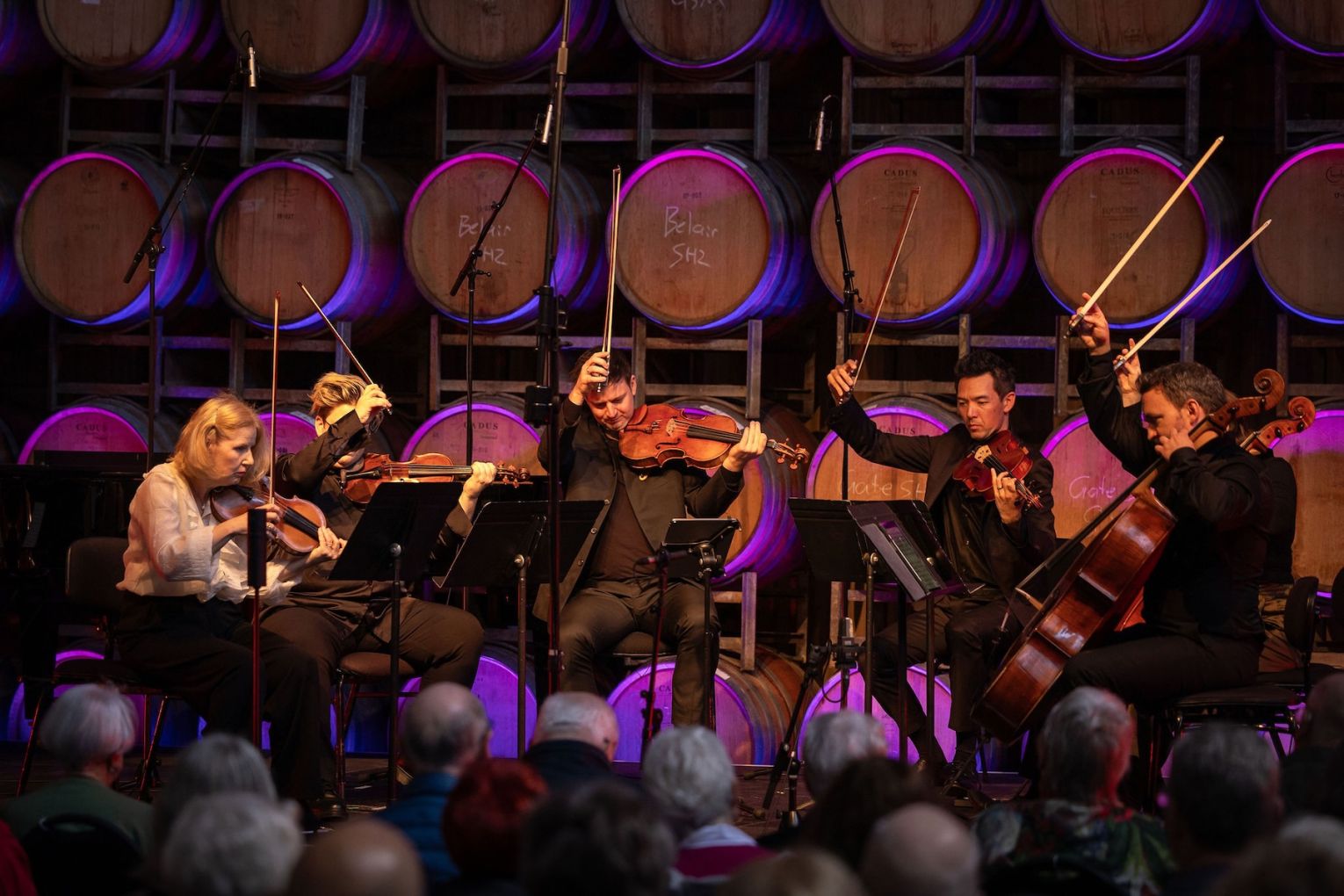 Elizabeth Layton, Belinde Gehlert, Richard Waters, Noel Thompson and Martin Smith perform at Coriole Music Festival. Photo: Jamois / Supplied