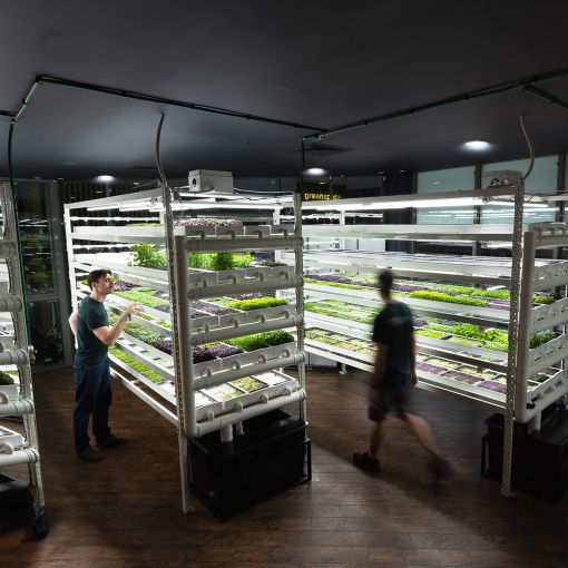 Thumbnail for Brisbane hotel becomes city’s first ‘macrofarm’