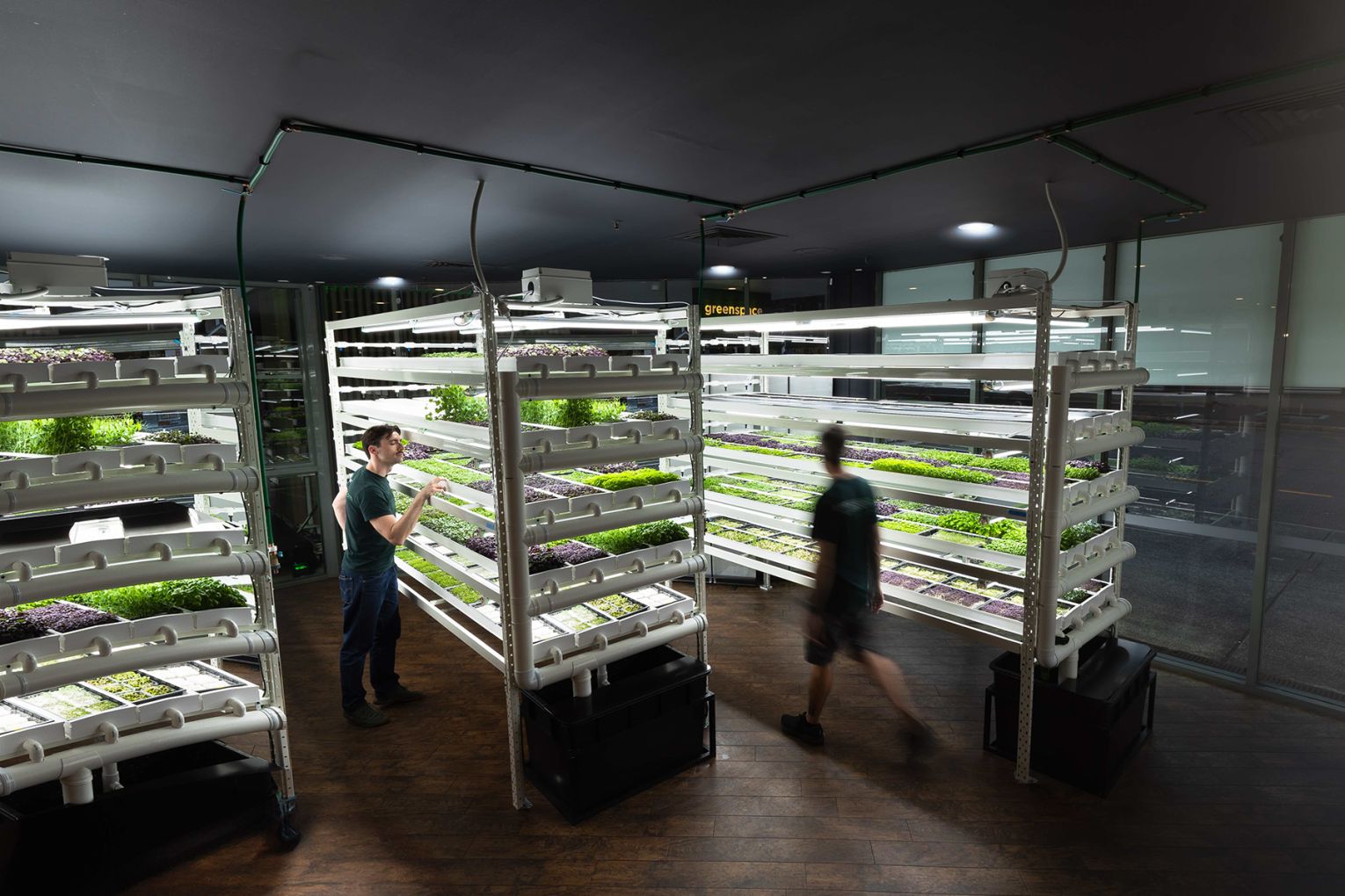 The Amora Hotel Brisbane will be the next home to one of Greenspace's Macrofarms | Credit: image supplied