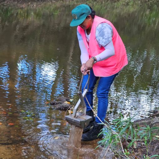 Thumbnail for Study finds most polluted creeks in Brisbane