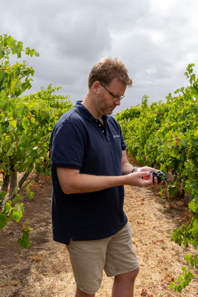 Mitolo Wines winemaker Luke Mallaby. Photo: Supplied