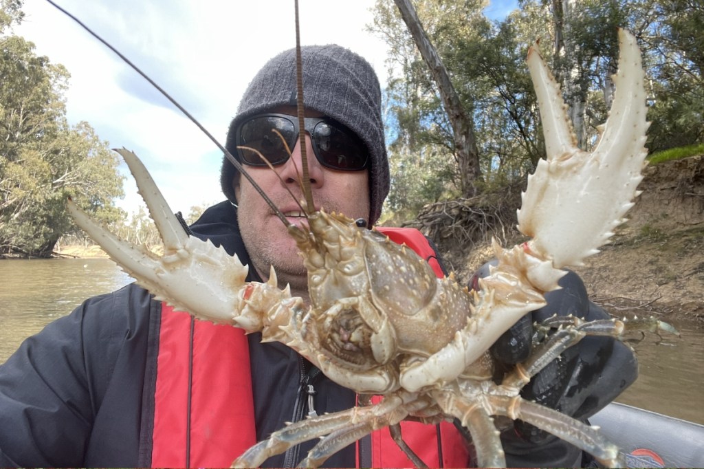 Fears freshwater fish face mass extinction at Coorong
