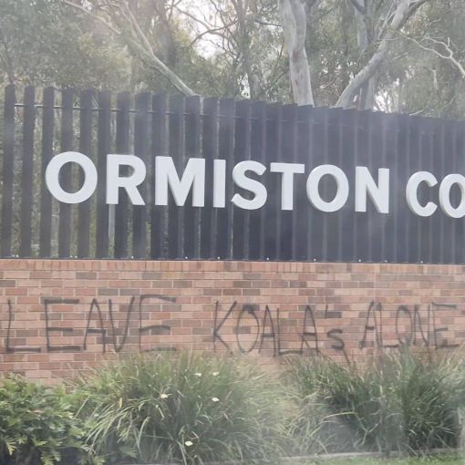 Thumbnail for Private school vandalised as koala corridor cut