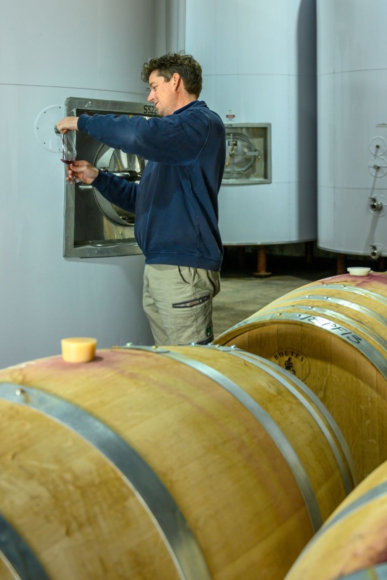 Pauletts winemaker Jarrad Steele. Photo: Clare Valley Wine Grape Association.