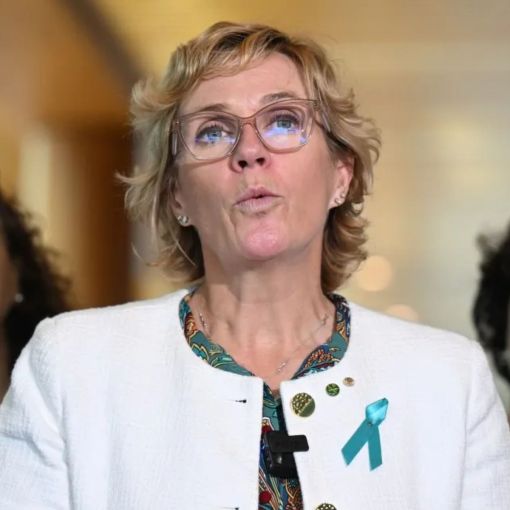 Thumbnail for Teals in talks to form new political party: Report