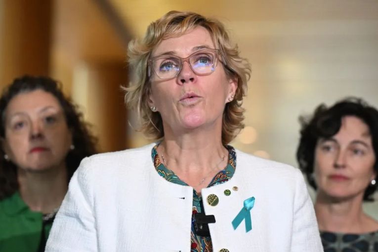 Thumbnail for Teals in talks to form new political party: Report