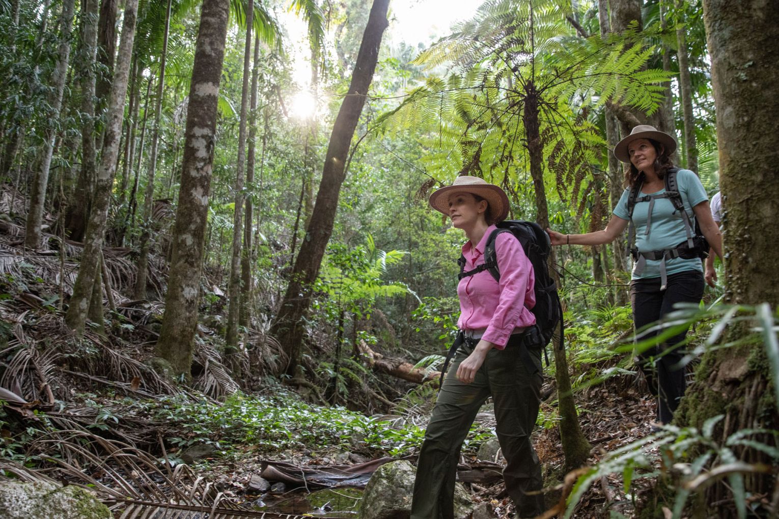 Scenic Rim Trail | Credit: image supplied