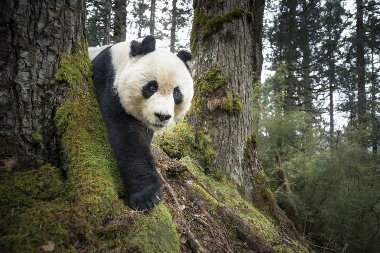 Thumbnail for The stories behind the headlines – the annual World Press Photo Exhibition returns to Brisbane Powerhouse