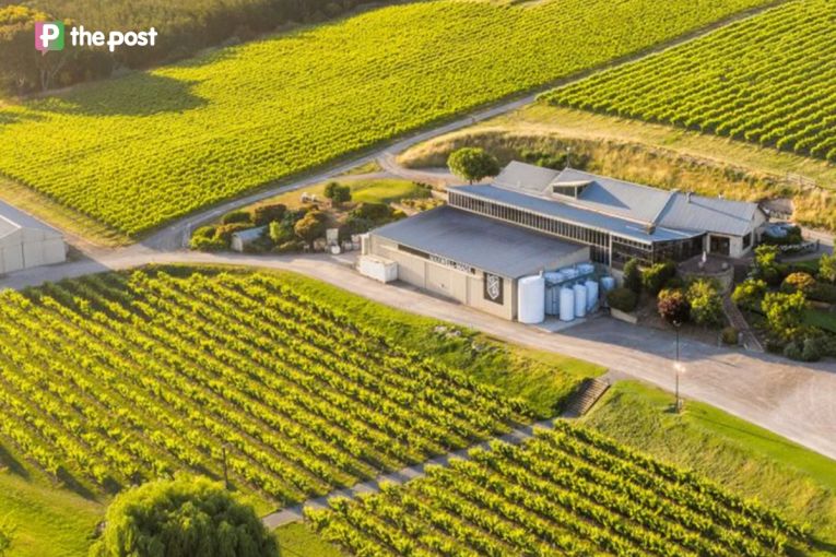 Thumbnail for The McLaren Vale cellar door that beat Bordeaux