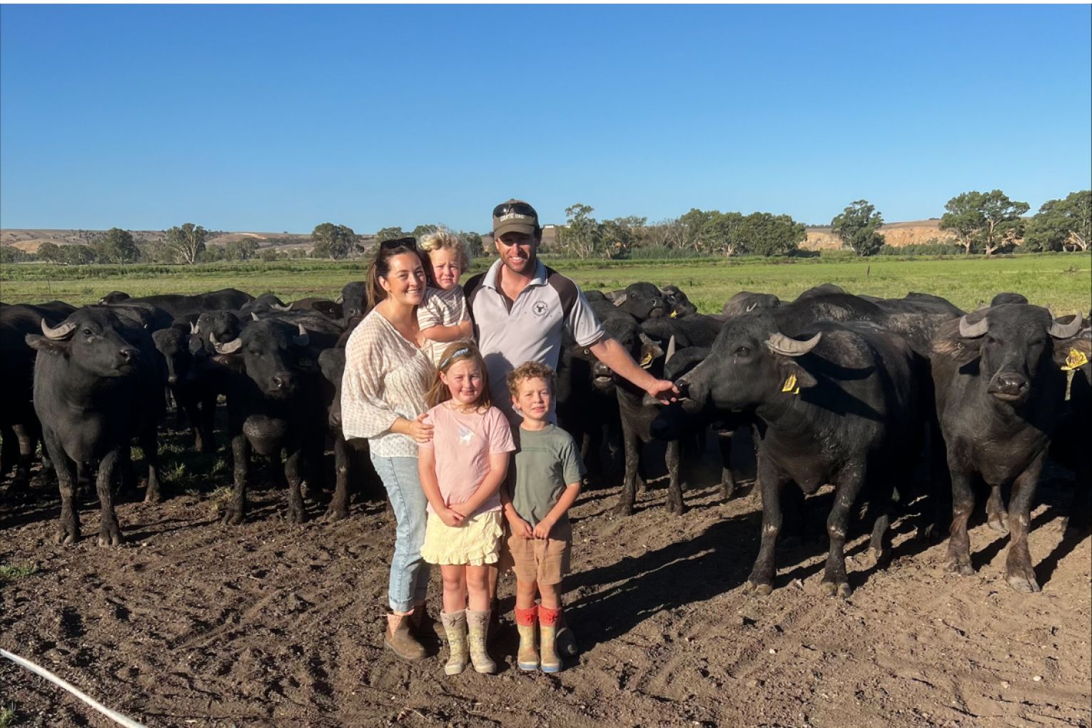 Mollie and Corey Jones are turning buffalo farming into a family business.