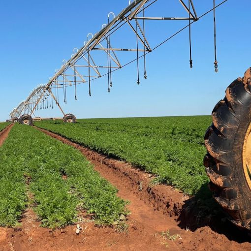 Thumbnail for Global capital eyes multibillion-dollar water market, raising stakes
