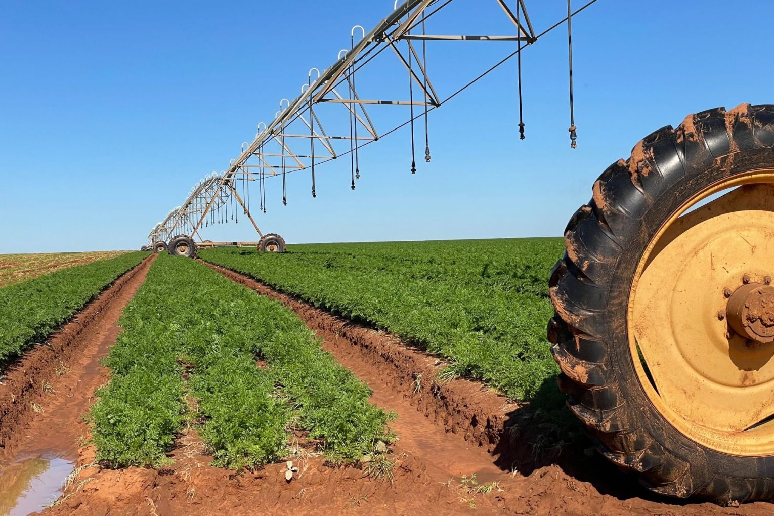 Returns in the water and agriculture sector have generated 10 per cent returns for the last decade. Picture: Supplied