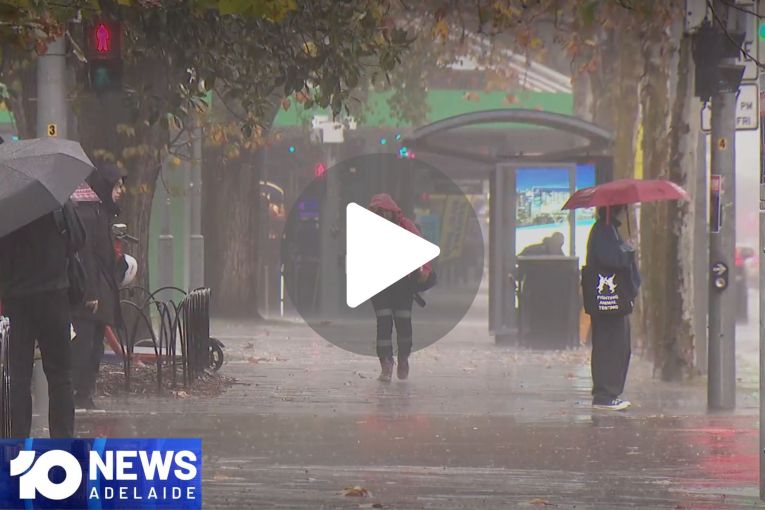 Thumbnail for VIDEO: Wild weather | Bowden arrests