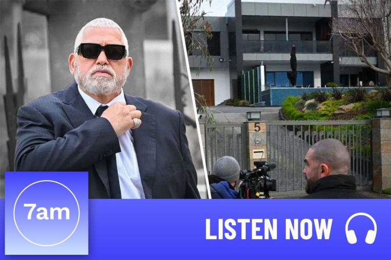 Thumbnail for Mick Gatto and gangland links to construction crime