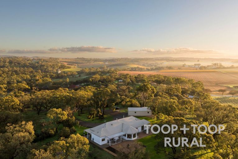Thumbnail for 429 Seppeltsfield Road, Marananga