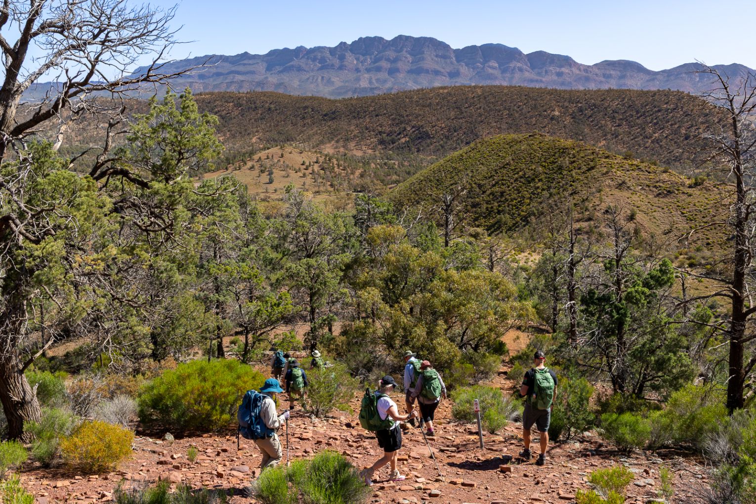 Spectacular views are the reward for a challenging day's hike; camping at the foot of the Elder Range; field guides Sari and Natalie; a steep descent.