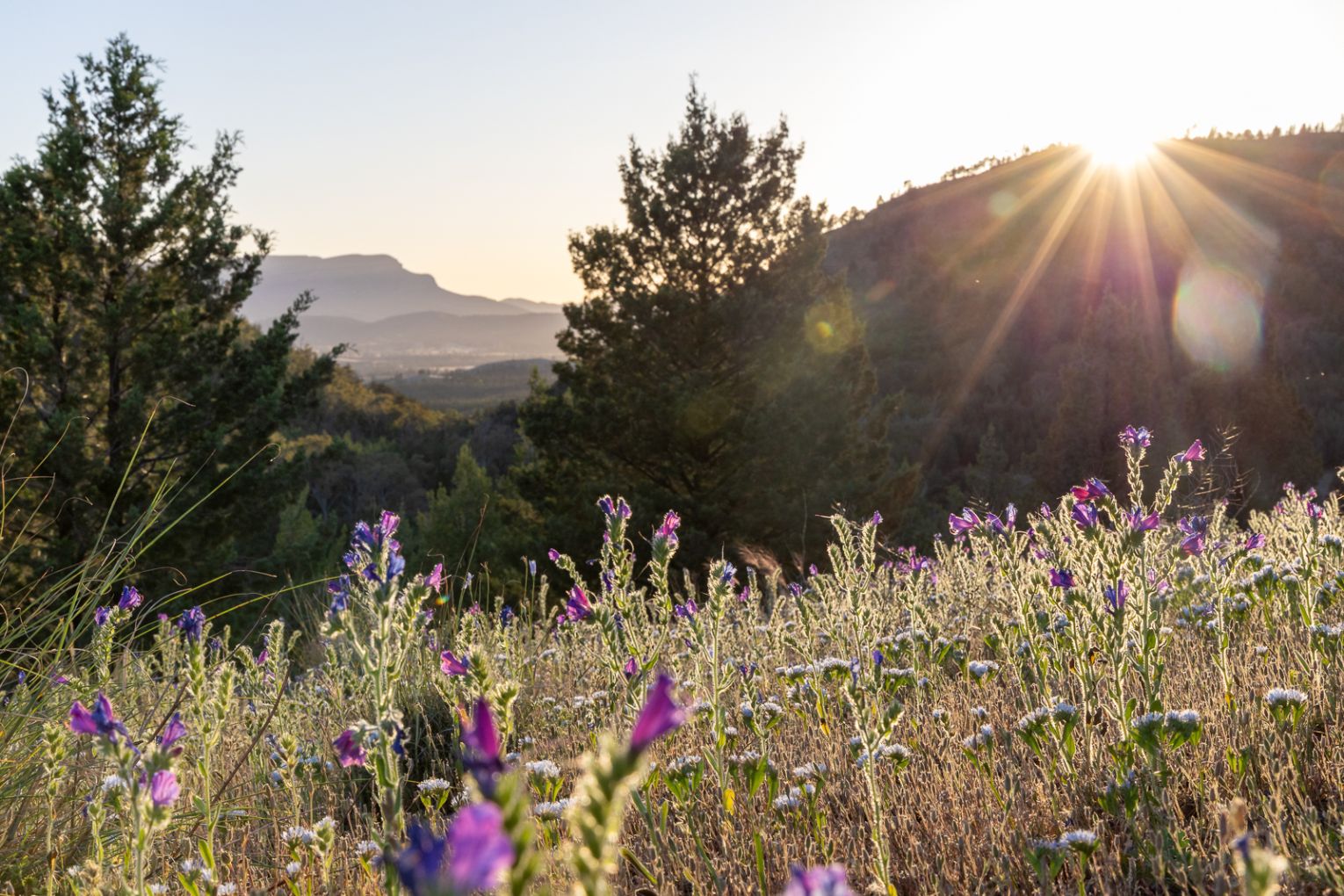 Adventuring through a 25,000-hectare former sheep station, the Arkaba Walk immerses hikers in a remarkable conservation story, wildlife and history.