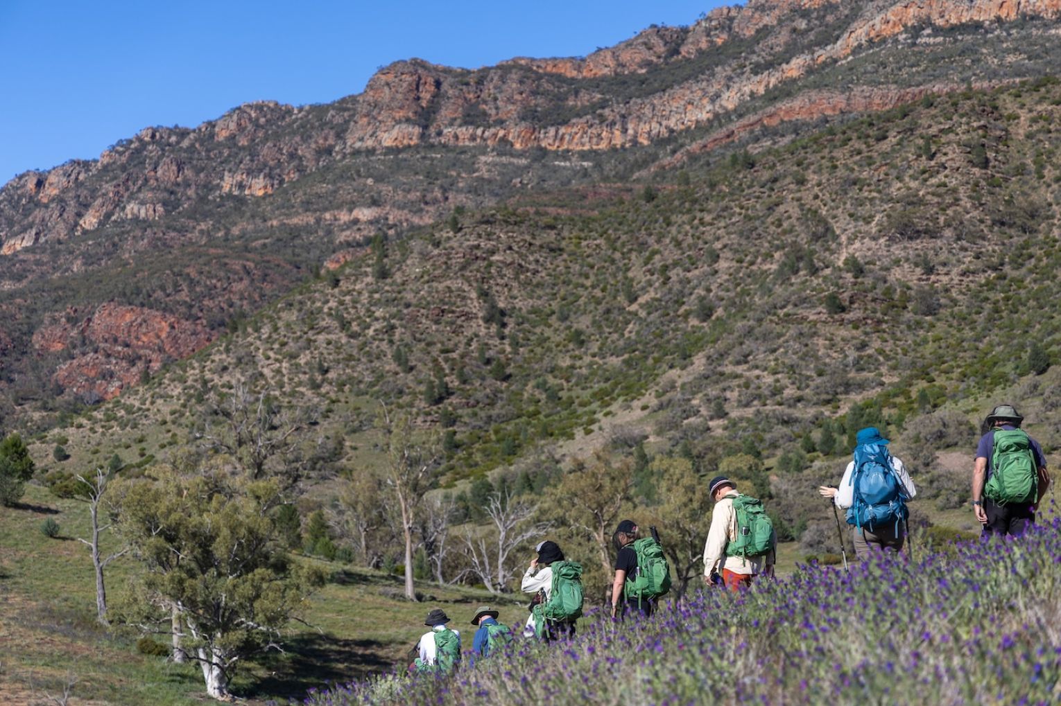 Arkaba field guide Natalie Gruhl gives a morning briefing to the hiking group; hikers have their own private swag quarters at each bush camp; the hike traverses ancient landscapes.