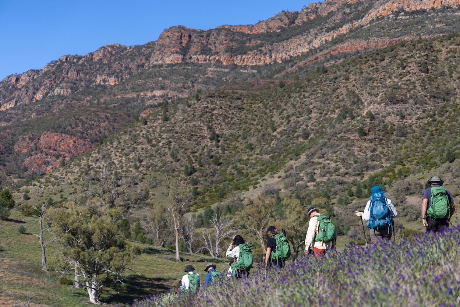 Arkaba field guide Natalie Gruhl gives a morning briefing to the hiking group; hikers have their own private swag quarters at each bush camp; the hike traverses ancient landscapes.