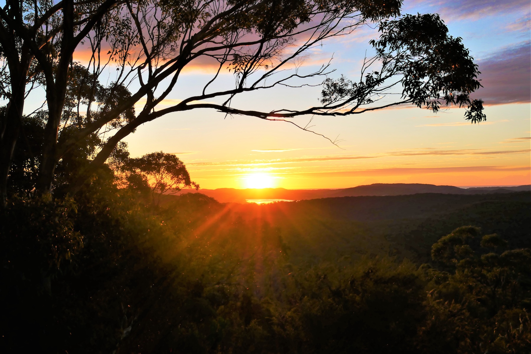 Poem: Daylight Defines Us