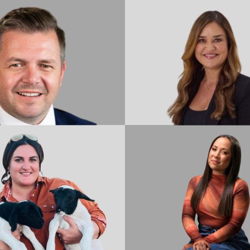 Thumbnail for Corporate Ladder: Your guide to executive appointments in Queensland