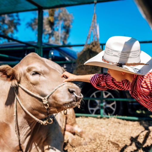 Thumbnail for Your kids don’t need a farm to work in ag, and FarmFest proves it