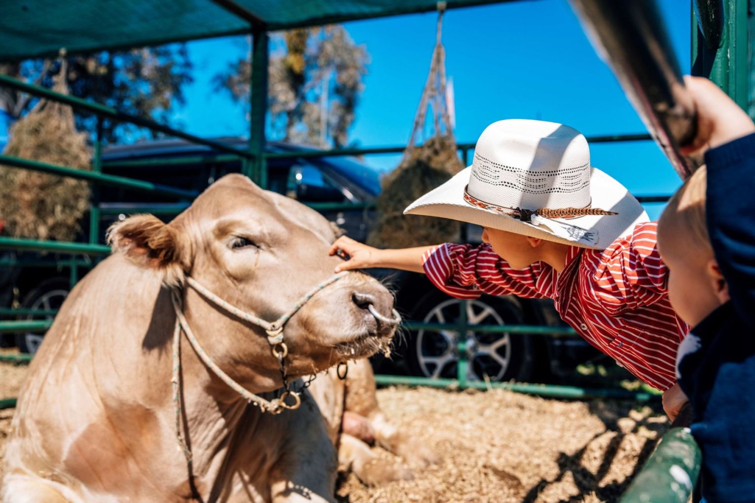 Elders FarmFest is on now in Toowoomba. Picture: via Facebook
