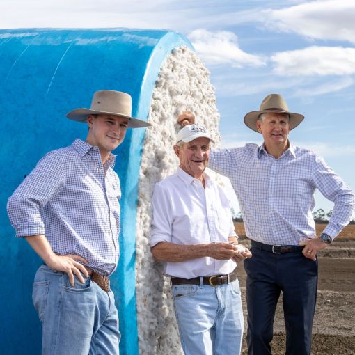 Thumbnail for Qld town stitches together for piece of Olympic action