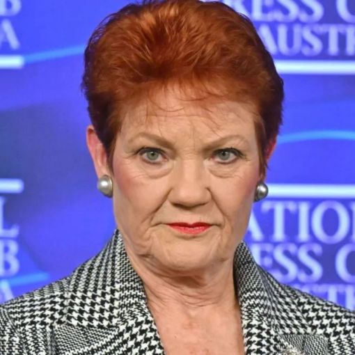 Thumbnail for Poll surge after Hanson’s monoculture speech