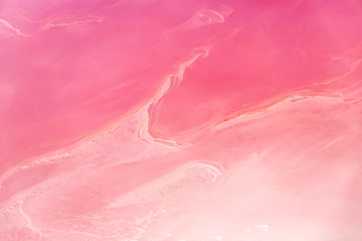 As rapid evaporation spikes salinity levels, it triggers a bloom of salt-loving algae that produce pink pigmentation, visible from space.