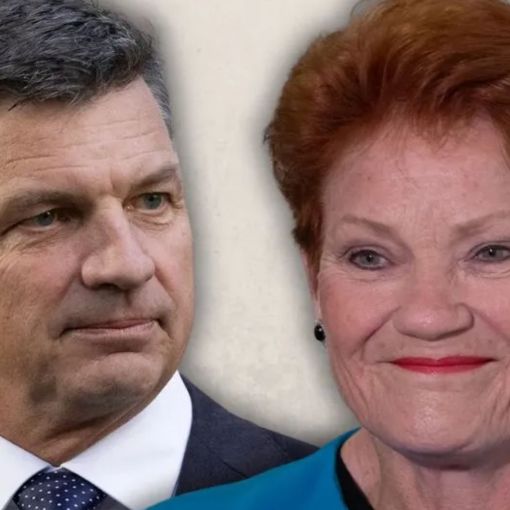 Thumbnail for Coalition banks on economy to win back One Nation votes