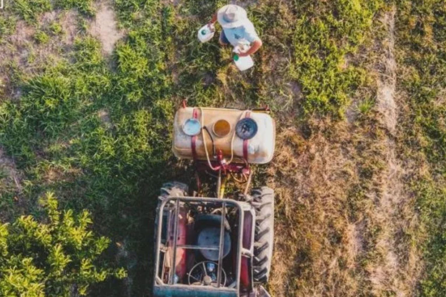 Cotton growers are allowed to continue using a toxic herbicide linked to Parkinson's disease. 