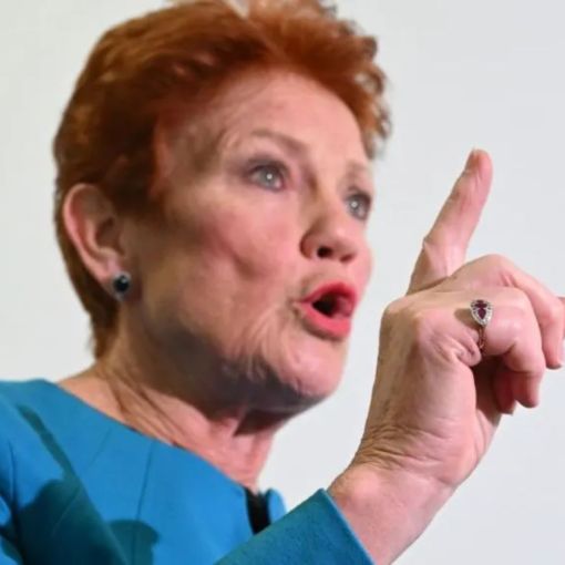 Thumbnail for Audit shows fundraising is ‘ridgy didge’: One Nation
