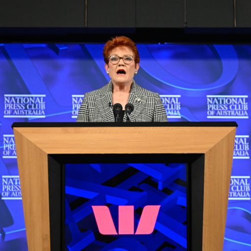 Thumbnail for One Nation demands migrants must be ‘Australians first’