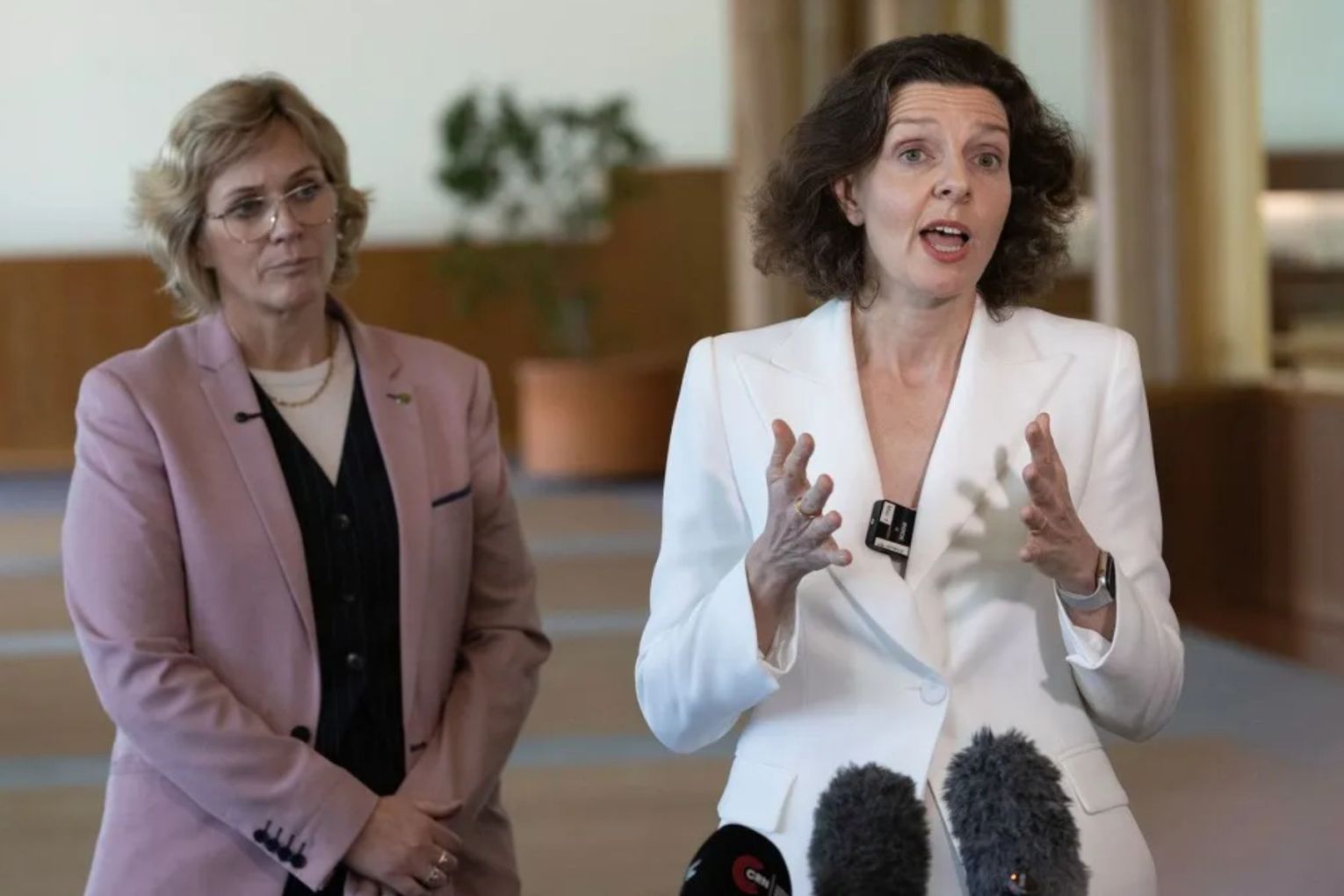 Zali Steggall and Allegra Spender have announced the formation of Community Strong Australia.
