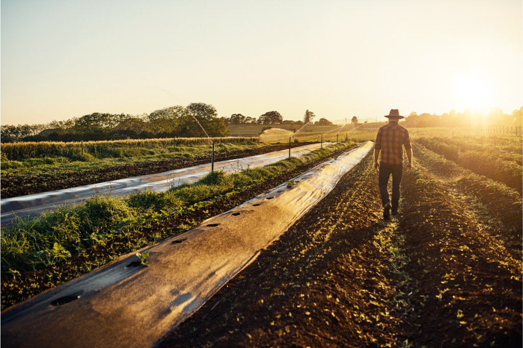 Australia’s escalating biosecurity crisis 
