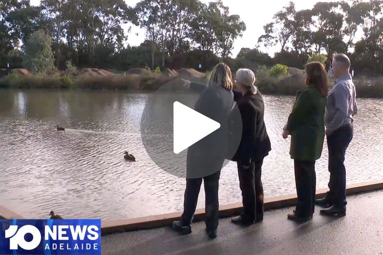 Thumbnail for VIDEO: Bird lovers in flu fight | Stolen car destroyed in fire