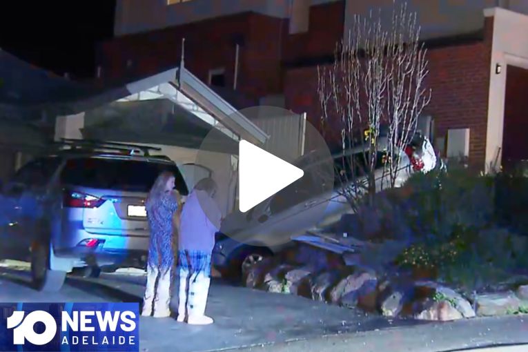 Thumbnail for VIDEO: Driver fined after losing control | L-plater crashes on first drive