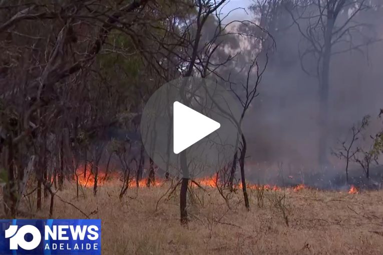 Thumbnail for VIDEO: Tragic update on Port MacDonnell deaths | AI bushfire detection