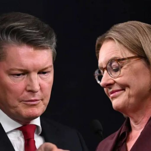 Thumbnail for ‘It’s ugly. It’s messy’: Inside plot to bring down premier