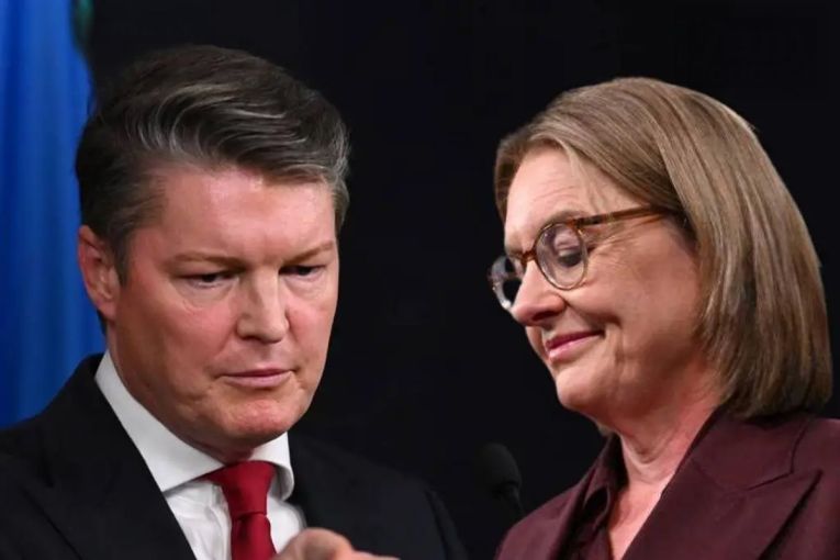 Thumbnail for ‘It’s ugly. It’s messy’: Inside plot to bring down premier