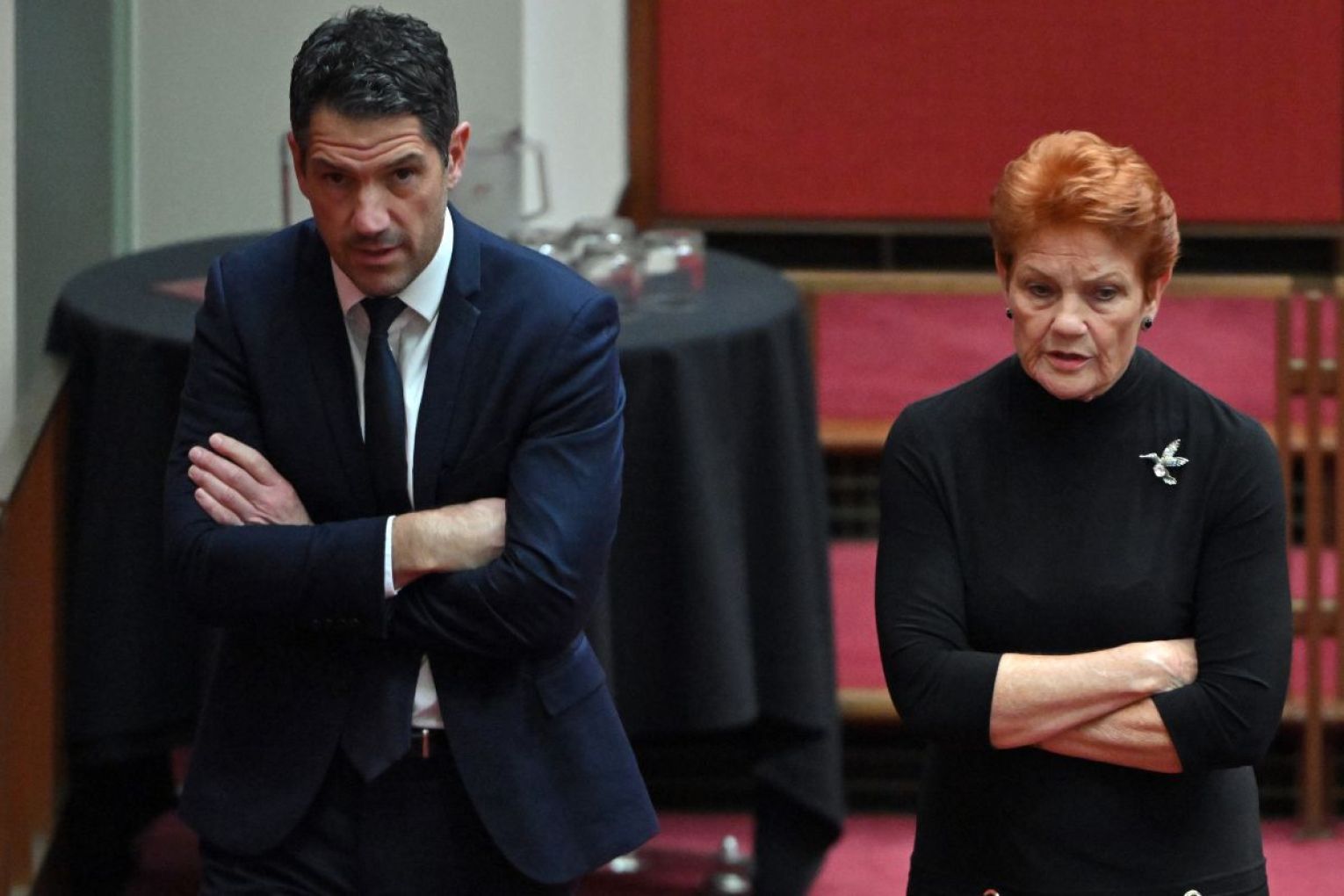 Liberal senator Alex Antic and One Nation Leader Pauline Hanson in the Senate chamber at Parliament House in Canberra, in March this year. Picture: AAP Image/Mick Tsikas