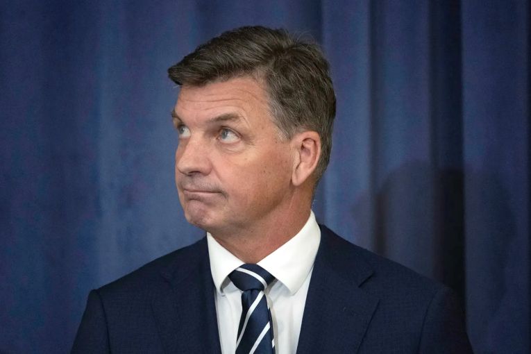 Thumbnail for The zeitgeist doesn’t suit Angus Taylor but he could do more to help himself