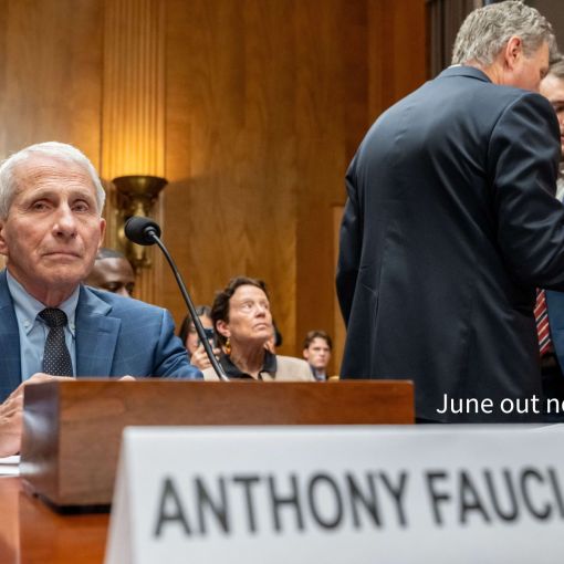 Thumbnail for Face of US COVID response pleads Fifth Amendment