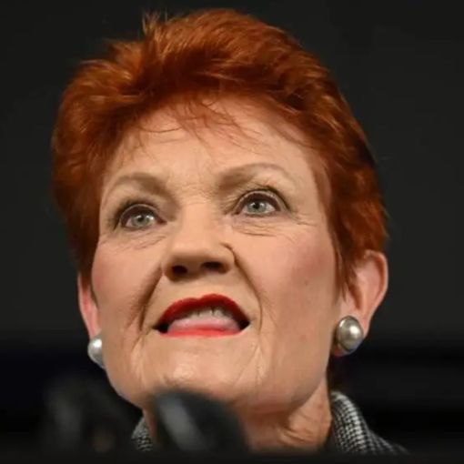 Thumbnail for One Nation distances from senator’s Covid claim