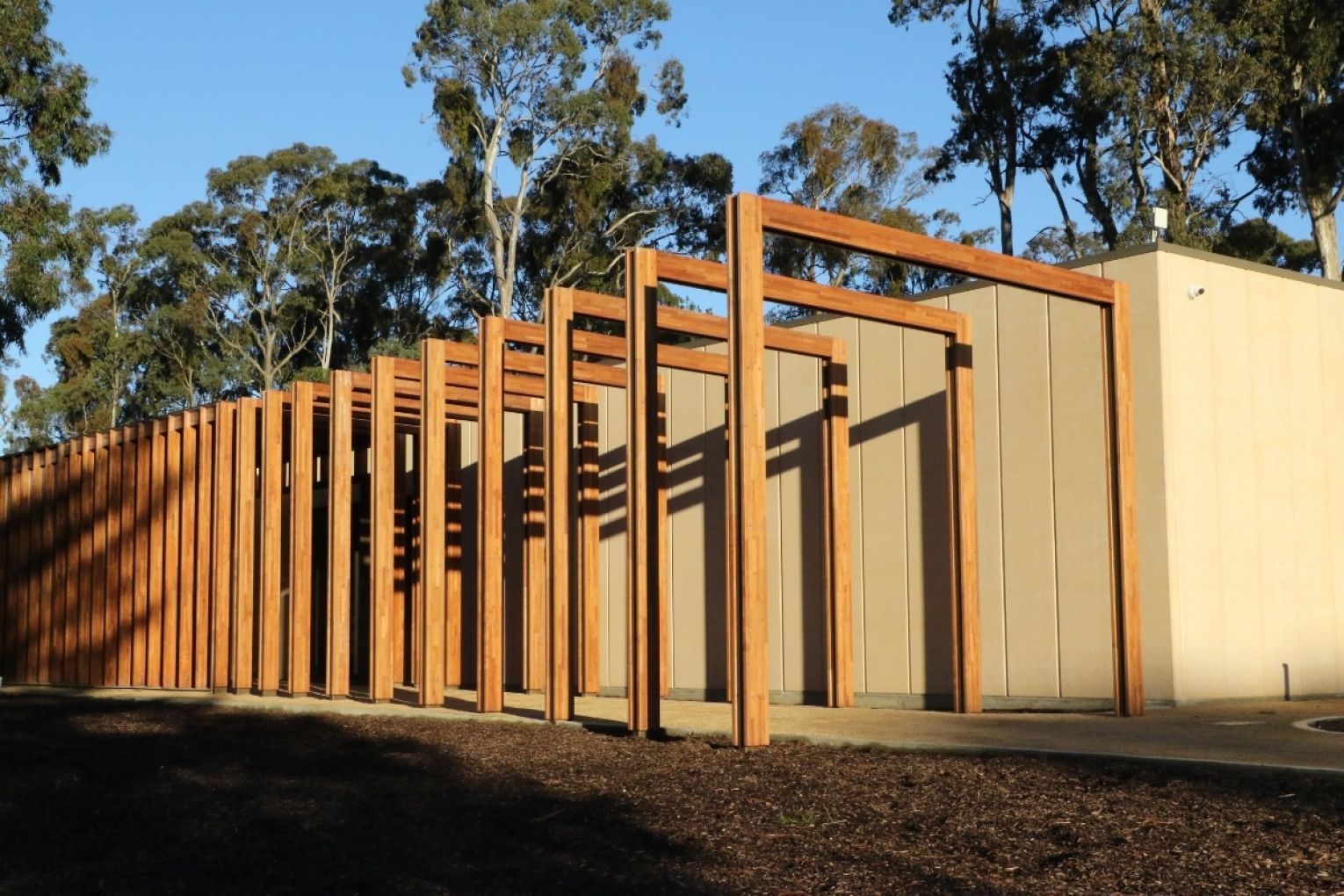 Heysen: A Shared Legacy is on display until 27 June 2027. Photo: Charlie Gilchrist/InDaily