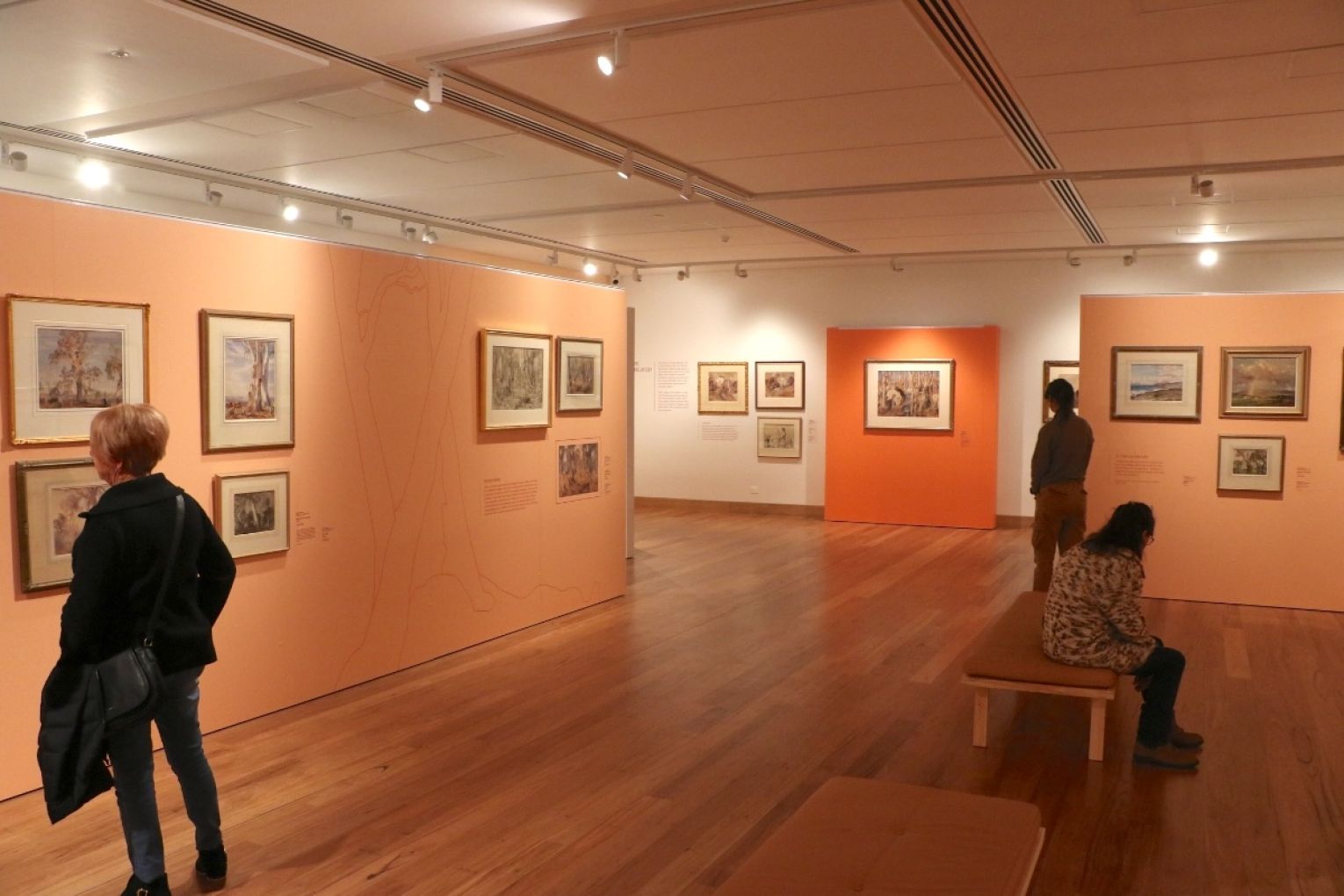 Heysen: A Shared Legacy is on display until 27 June 2027. Photo: Charlie Gilchrist/InDaily