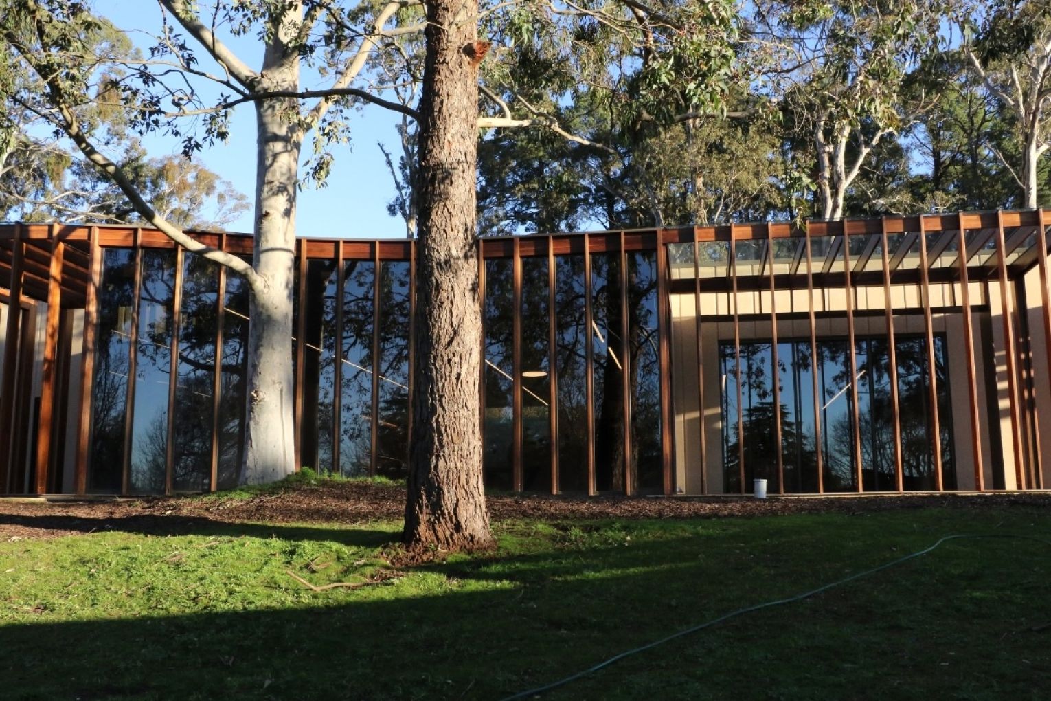 Heysen: A Shared Legacy is on display until 27 June 2027. Photo: Charlie Gilchrist/InDaily