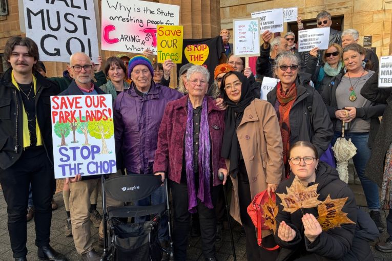 Thumbnail for Verdict for granny labelled a ‘ragtag extremist’ by Premier